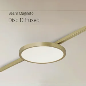 Disc Diffused Beam Magneto